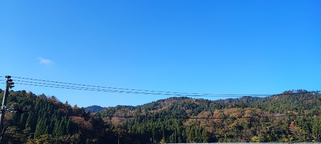 f:id:hitachibana:20221121170042j:image