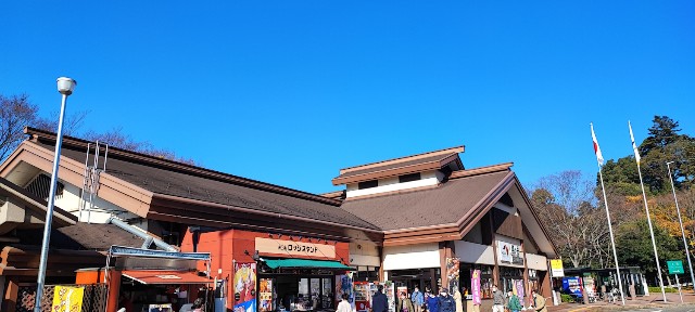 f:id:hitachibana:20221121170121j:image