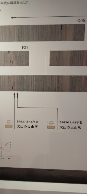 f:id:hitachibana:20221121224629j:image