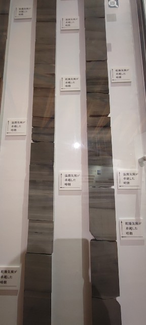 f:id:hitachibana:20221121224704j:image
