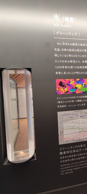 f:id:hitachibana:20221121224745j:image