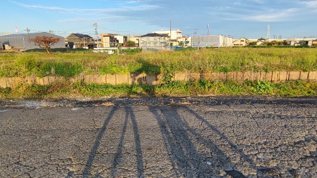 f:id:hitachibana:20221129201431j:image f:id:hitachibana:20221129201431j:image