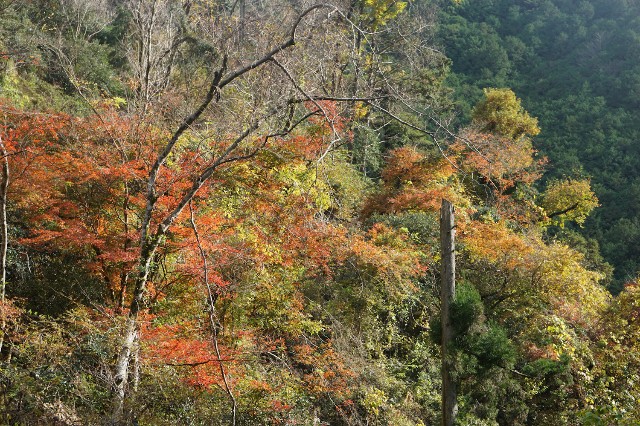 f:id:hitachibana:20221217103232j:image