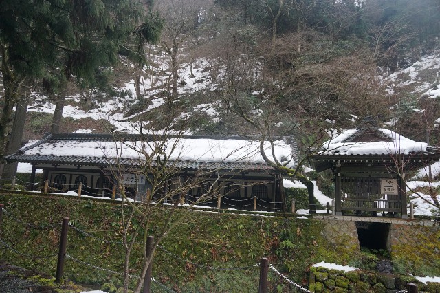f:id:hitachibana:20230109143608j:image f:id:hitachibana:20230109143608j:image