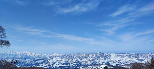 f:id:hitachibana:20230217202147j:image f:id:hitachibana:20230217202147j:image