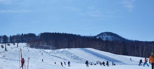 f:id:hitachibana:20230217202201j:image f:id:hitachibana:20230217202201j:image