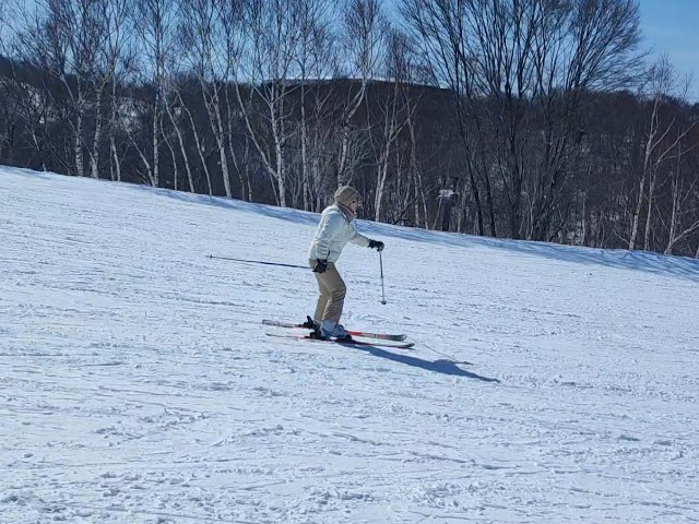 f:id:hitachibana:20230217202333j:image f:id:hitachibana:20230217202333j:image