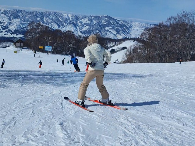 f:id:hitachibana:20230217202344j:image f:id:hitachibana:20230217202344j:image