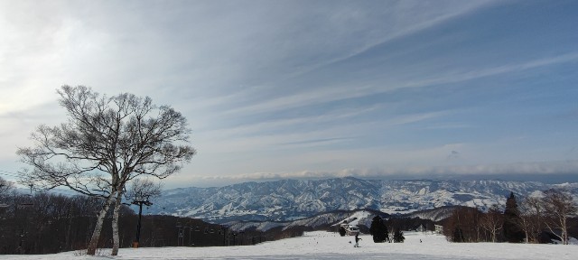 f:id:hitachibana:20230217225924j:image f:id:hitachibana:20230217225924j:image