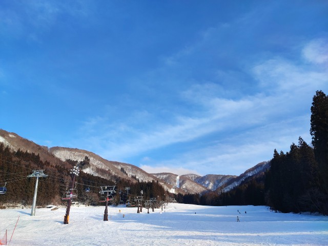 f:id:hitachibana:20230217230004j:image f:id:hitachibana:20230217230004j:image