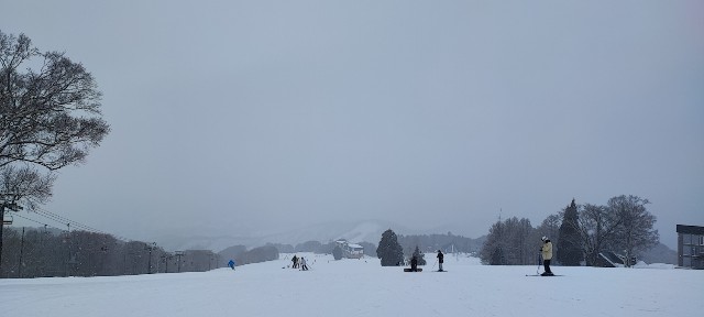 f:id:hitachibana:20230217230110j:image f:id:hitachibana:20230217230110j:image