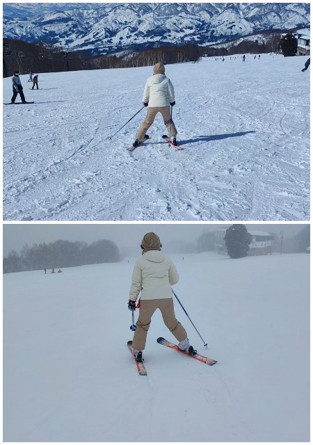 f:id:hitachibana:20230217230642j:image f:id:hitachibana:20230217230642j:image