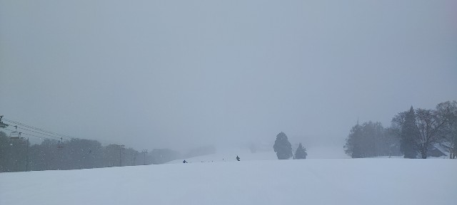 f:id:hitachibana:20230217231034j:image f:id:hitachibana:20230217231034j:image