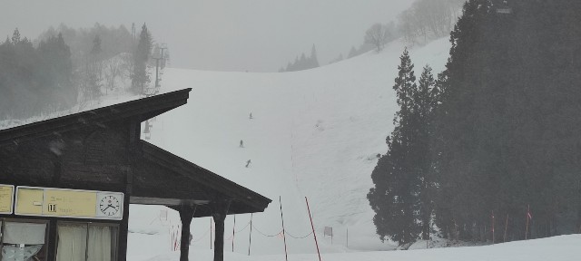 f:id:hitachibana:20230217231102j:image f:id:hitachibana:20230217231102j:image