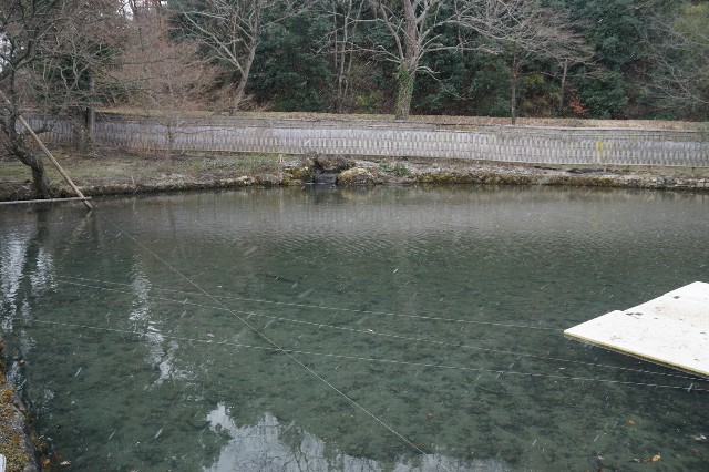 f:id:hitachibana:20230226013319j:image