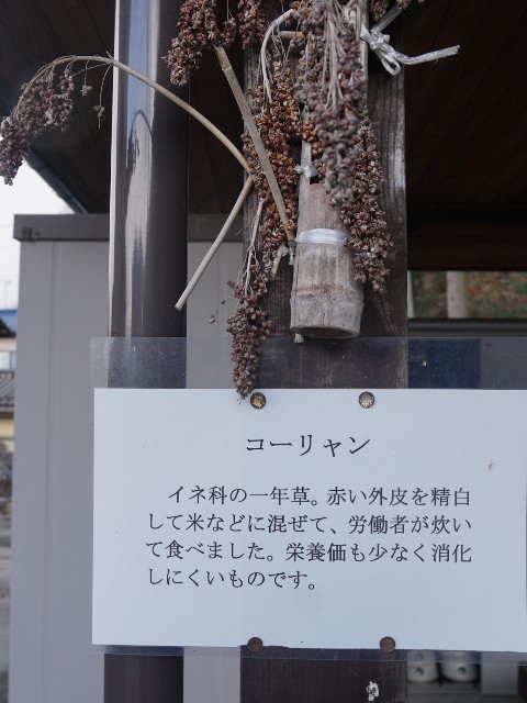 f:id:hitachibana:20230226013725j:image