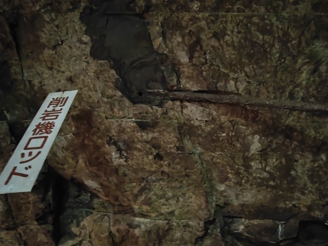 f:id:hitachibana:20230226014158j:image