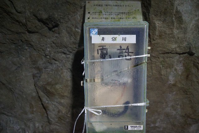 f:id:hitachibana:20230226014926j:image