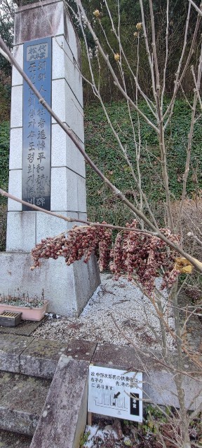 f:id:hitachibana:20230302164318j:image
