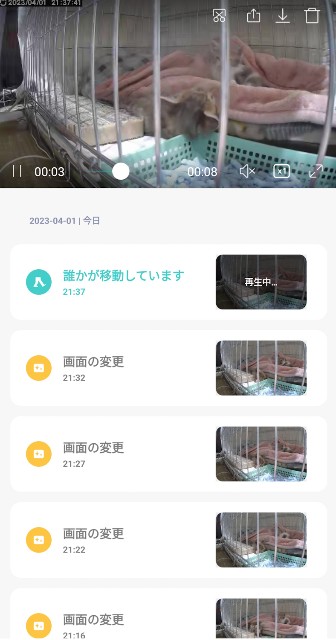 f:id:hitachibana:20230424231500j:image