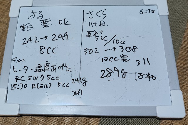 f:id:hitachibana:20230427212542j:image