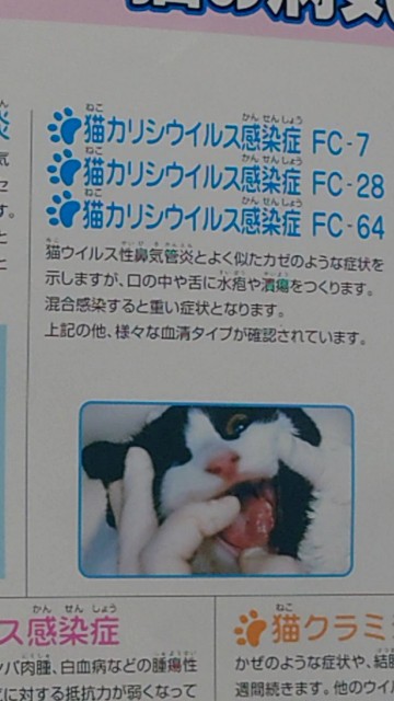 f:id:hitachibana:20230427213015j:image