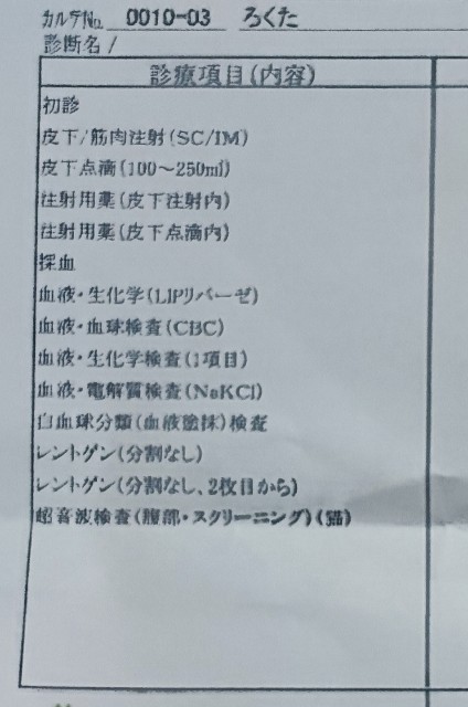 f:id:hitachibana:20230609002614j:image