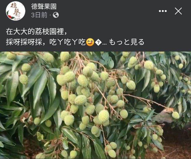 f:id:hitachibana:20230609004002j:image