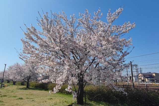 f:id:hitachibana:20230621222847j:image