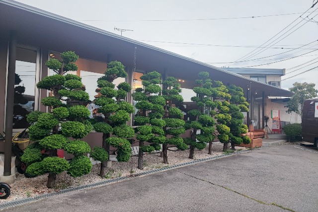f:id:hitachibana:20230716171530j:image