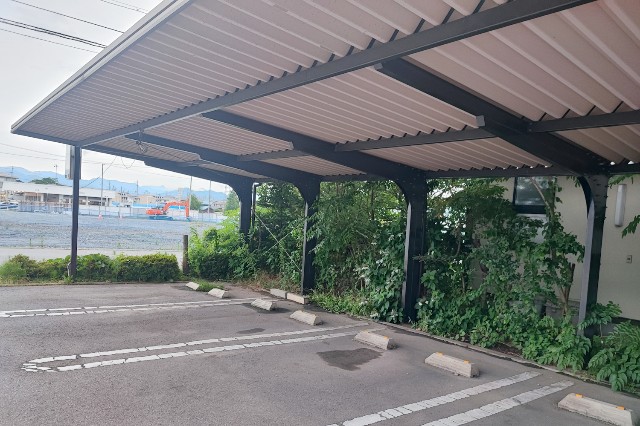f:id:hitachibana:20230716171548j:image