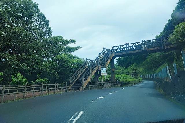 f:id:hitachibana:20230814170643j:image f:id:hitachibana:20230814170643j:image