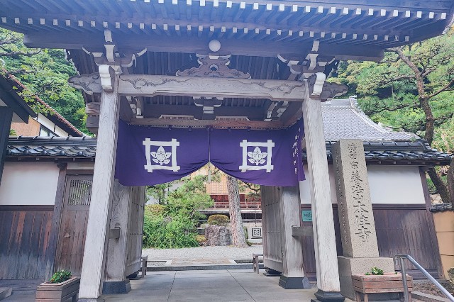 f:id:hitachibana:20230819173057j:image