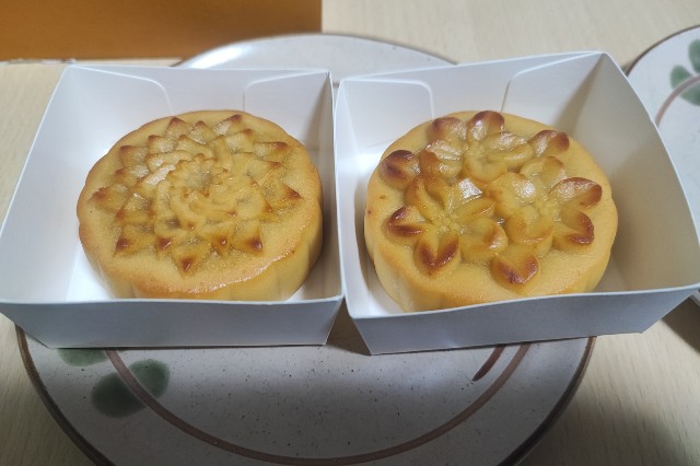 f:id:hitachibana:20231031204334j:image