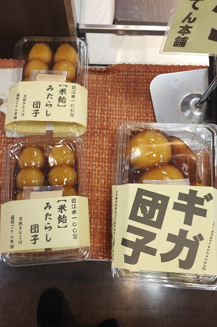 f:id:hitachibana:20231128195800j:image
