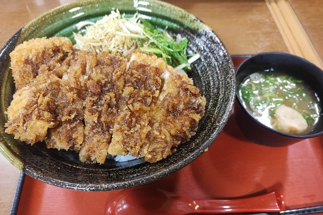 f:id:hitachibana:20231128195809j:image