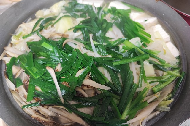 f:id:hitachibana:20231128200205j:image