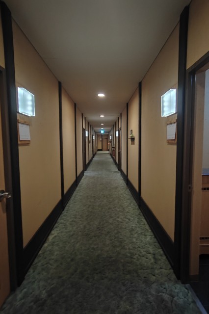 f:id:hitachibana:20231207200727j:image
