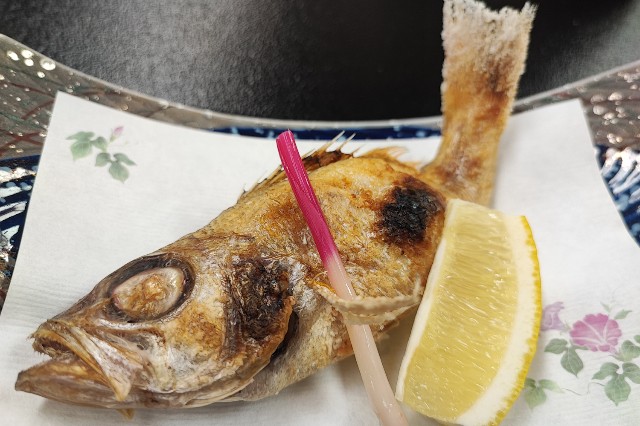 f:id:hitachibana:20231208200114j:image