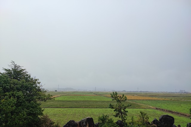 f:id:hitachibana:20231208200539j:image
