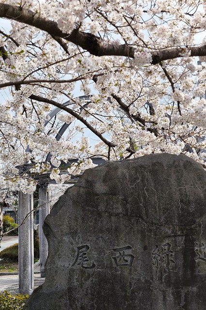f:id:hitachibana:20240414232901j:image