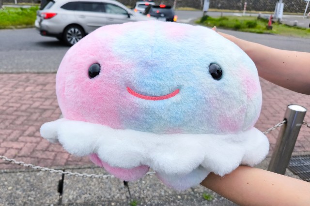 f:id:hitachibana:20240526195302j:image