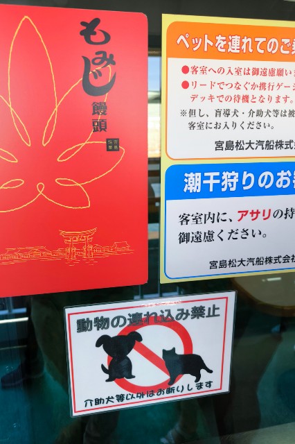 f:id:hitachibana:20240616131132j:image