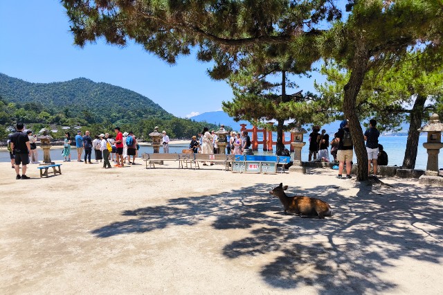 f:id:hitachibana:20240616131548j:image
