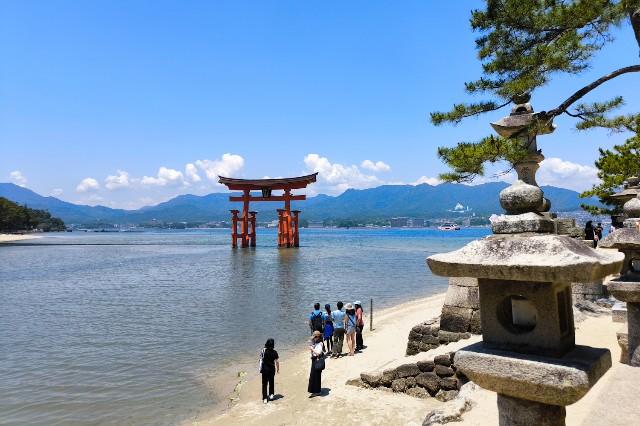 f:id:hitachibana:20240616131637j:image