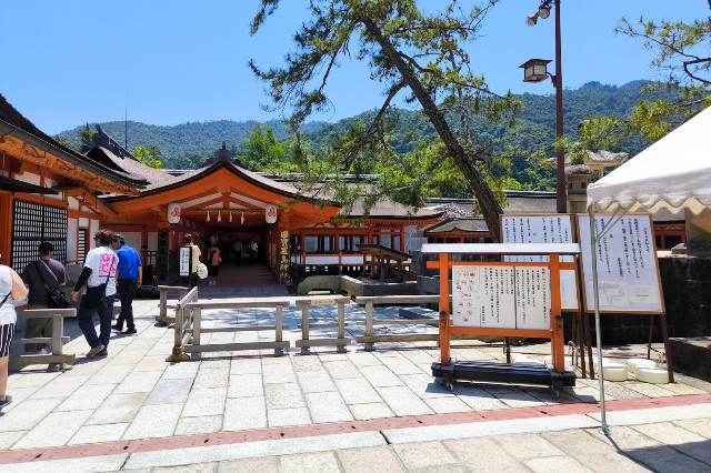 f:id:hitachibana:20240616131735j:image
