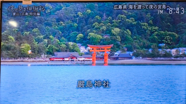 f:id:hitachibana:20240616132102j:image
