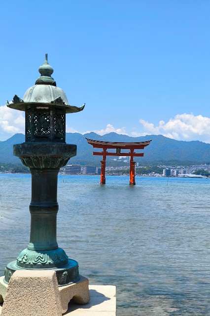 f:id:hitachibana:20240616132228j:image