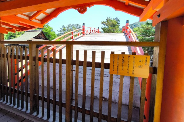 f:id:hitachibana:20240616132537j:image