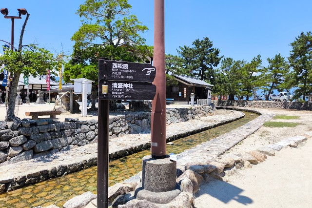 f:id:hitachibana:20240616132730j:image